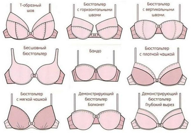 Формы женской груди