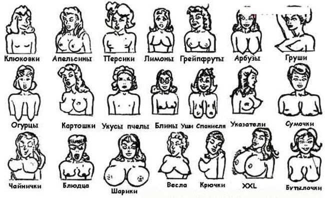 Формы женской груди