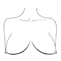 Виды сосков женской груди