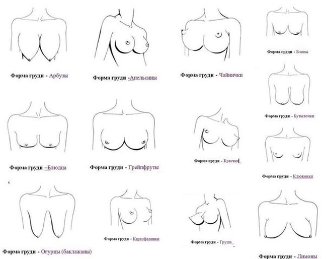 Самые красивые формы женской груди